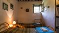 Toscana Immobiliare - Agriturismo  con terreno in vendita sul lago Montedoglio valtiberina