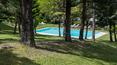 Toscana Immobiliare - Estate on sale in Tuscany farmhouse with land