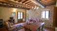 Toscana Immobiliare - Anwesen bestehend aus einem Bauernhaus aus Stein, aufgeteilt in 3 Wohnungen, Schwimmbad und 1,5 Hektar Park zu verkaufen in Lucignano, Toskana.