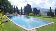 Toscana Immobiliare - The farmhouse is surrounded by an enchanting flower garden
