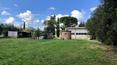 Toscana Immobiliare - This house with 2 hectares of land is for sale in the heart of the Val d'Orcia