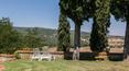Toscana Immobiliare - Farm for sale in Tuscany Arezzo with farmhouse vineyard olive grove