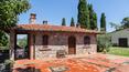 Toscana Immobiliare - Farm for sale in Tuscany Arezzo with farmhouse vineyard olive grove