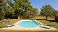 Toscana Immobiliare - The park of 10000 sqm is completed by a beautiful swimming pool of 6x12 m.