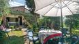Toscana Immobiliare - Villa rustica con giardino e bosco in Toscana
