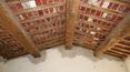 Toscana Immobiliare - Farm with 52 hectars of land