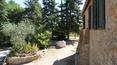 Toscana Immobiliare - It is possible to build a swimming pool and buy additional land