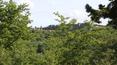 Toscana Immobiliare - La proprietà è circondata da 52 ettari di terreno.