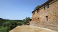 Toscana Immobiliare - Bauernhaus mit Nebengebäuden in der Toskana zu verkaufen