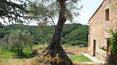 Toscana Immobiliare - La ferme offre une vue sur le magnifique paysage de la Crète Senesi.
