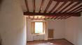 Toscana Immobiliare - Farmhouse for sale in Tuscany