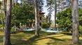 Toscana Immobiliare - La villa è circondata da un giardino fiorito, una grande pineta, e da un terreno collinare con olivi secolari.