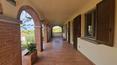 Toscana Immobiliare - Villa mit Pool und Olivenhain in der Toskana zu verkaufen