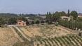 Toscana Immobiliare - Beatifull landscape
