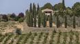 Toscana Immobiliare - Amazing view