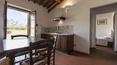 Toscana Immobiliare -
