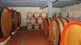 Toscana Immobiliare -