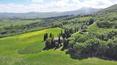 Toscana Immobiliare - Farmhouse for sale in Val d'Orcia