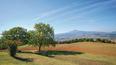 Toscana Immobiliare - The property is surrounded by approximately 50 hectares of land
