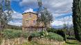 Toscana Immobiliare - The property is the result of the restoration of a pre-existing farmhouse