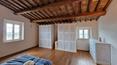Toscana Immobiliare - Renovated luxury farmhouse with olive grove and outbuilding for sale in Tuscany