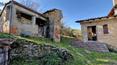 Toscana Immobiliare -