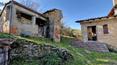 Toscana Immobiliare - 