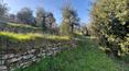 Toscana Immobiliare -