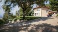 Toscana Immobiliare - luxury villa with pool for sale Arezzo Tuscany