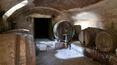 Toscana Immobiliare - Cellar