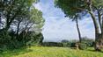 Toscana Immobiliare - Prestigiosa proprietà immobiliare situata in posizione panoramica