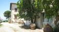 Toscana Immobiliare -