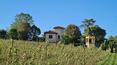 Toscana Immobiliare - Le jardin abrite une belle piscine panoramique