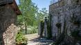Toscana Immobiliare - Accommodation facility for sale in Tuscany