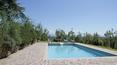 Toscana Immobiliare - Nella terrazza sottostante la casa si trova la piscina di 5x10 m con vista sulla vallata