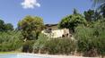 Toscana Immobiliare - The property enjoys absolute privacy