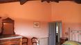 Toscana Immobiliare - Restauriertes Bauernhaus aus dem 19. Jahrhundert mit Schwimmbad, Panoramablick, Garage, Nebengebäude und 1 ha Land mit Olivenhain