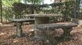 Toscana Immobiliare -
