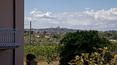 Toscana Immobiliare - Luxury villa for sale in Tuscany between Arezzo and Siena