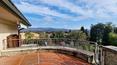 Toscana Immobiliare - El parque alberga una hermosa piscina en forma de judía con solarium, tumbonas, sombrillas y vestuarios