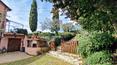 Toscana Immobiliare - La propriété se compose de la villa, d'une cabane à outils, d'une cabane en bois et d'une piscine