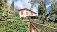 Toscana Immobiliare - La propiedad consta de la villa, un cobertizo para herramientas, una cabaña de madera y una piscina