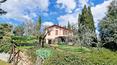 Toscana Immobiliare - The property consists of the villa, a tool shed, a wooden hut and a swimming pool