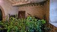 Toscana Immobiliare - On the ground floor are the cellars and other rooms for storage use