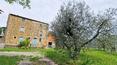 Toscana Immobiliare - Panoramic country house for sale in Castiglion Fiorentino Tuscany