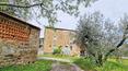 Toscana Immobiliare - Rural property for sale in the Tuscan countryside