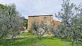 Toscana Immobiliare - Farmhouse for sale in Tuscany
