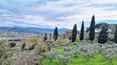 Toscana Immobiliare - Wonderful view over the Valdichiana