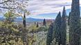 Toscana Immobiliare - Propiedad en venta en las colinas toscanas