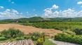 Toscana Immobiliare - The property enjoys beautiful views of the surrounding woods and hills